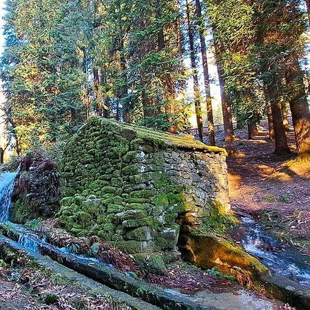 Matos Casas De Campo Cabeceiras de Basto Kültér fotó