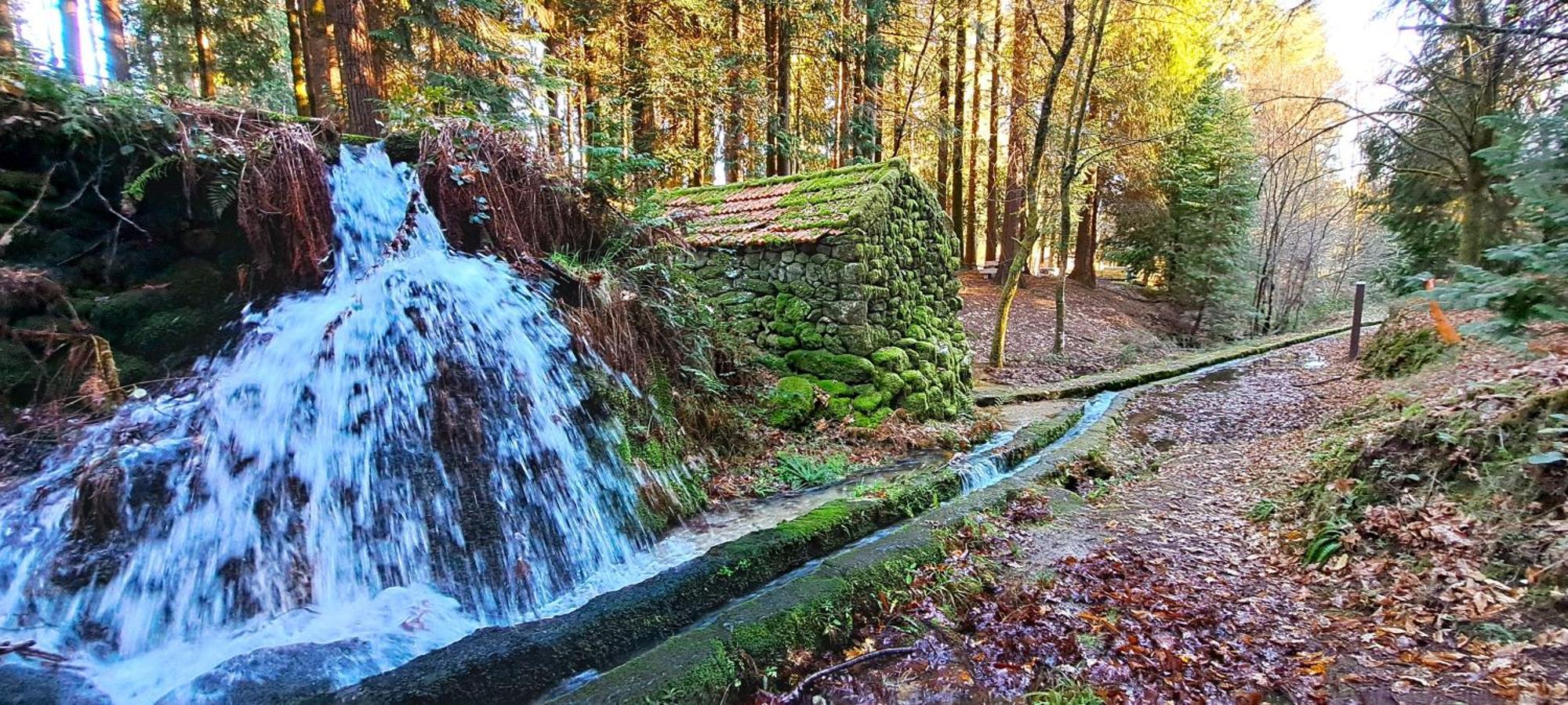 Matos Casas De Campo Cabeceiras de Basto Kültér fotó