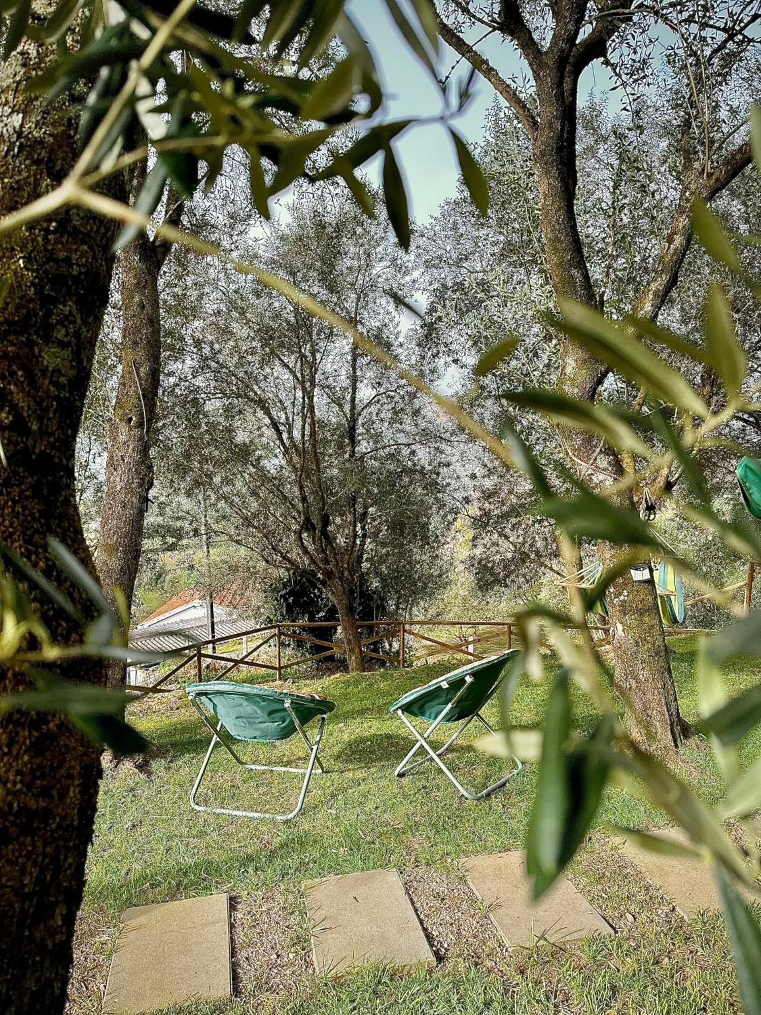 Matos Casas De Campo Cabeceiras de Basto Kültér fotó